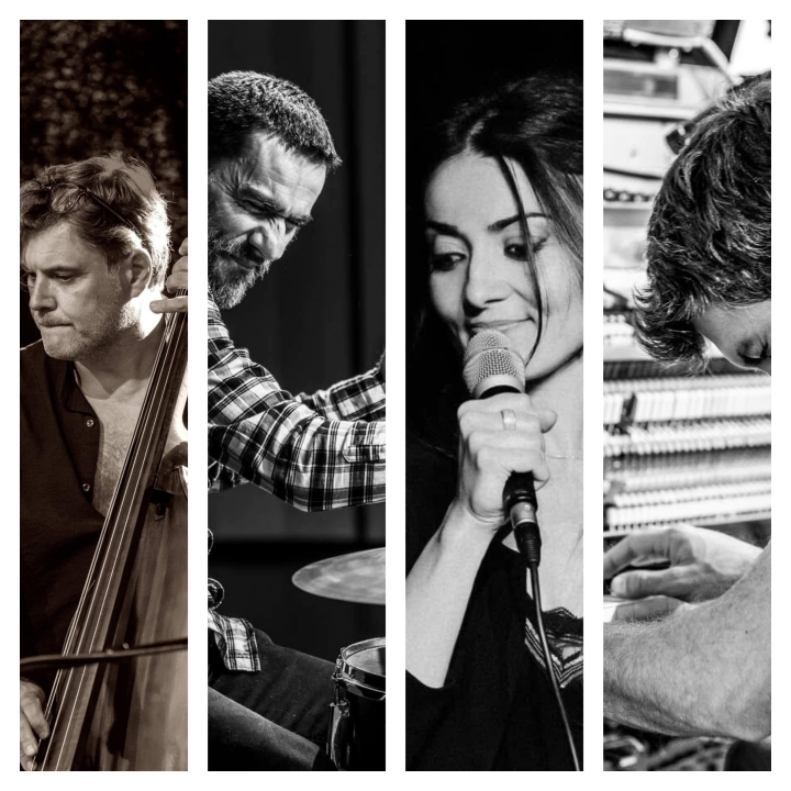 anima-4tet-collage-small